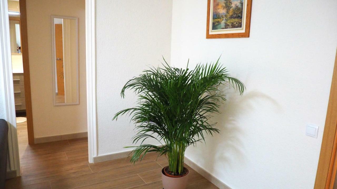Apartamento En Ani Alicante Exterior photo